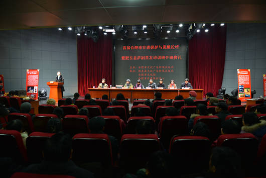 合肥市舉辦首屆非遺保護(hù)與發(fā)展論壇