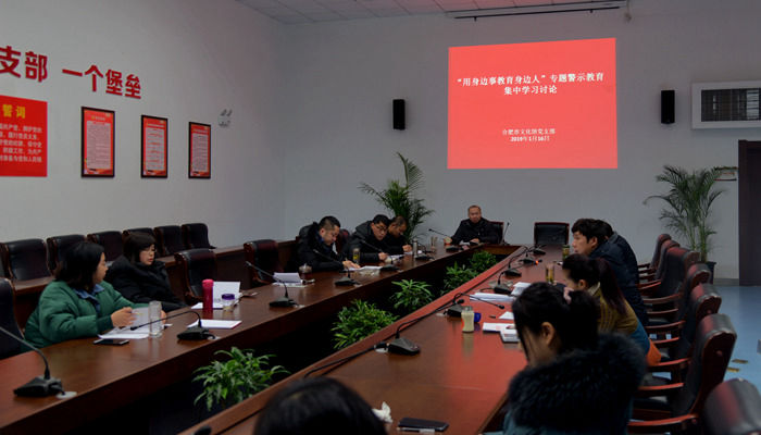 合肥市文化館黨支部開(kāi)展“用身邊事教育身邊人”專題警示教育活動(dòng)