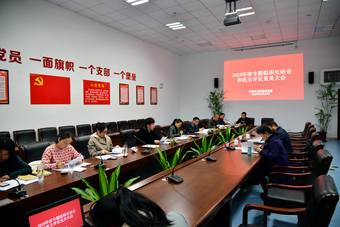 陳江麗出席指導(dǎo)合肥市文化黨支部2019年度專題組織生活會