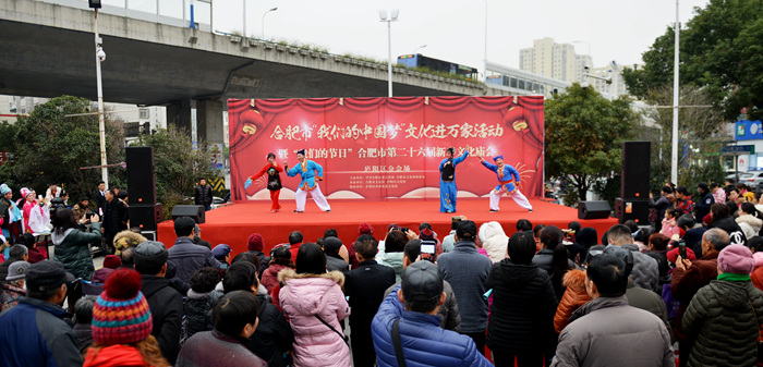 新春文化廟會上演廬陽區(qū)分會場