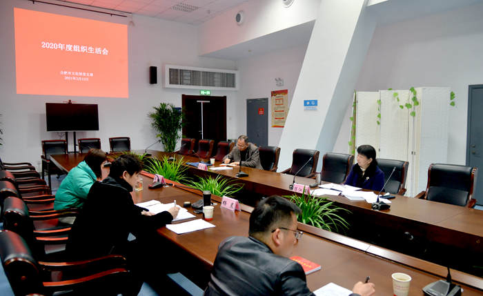 合肥市文化館黨支部召開2020年度組織生活會(huì)暨民主評(píng)議黨員大會(huì)