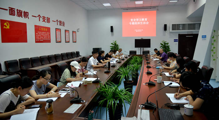 合肥市文化館召開黨史學(xué)習(xí)教育專題組織生活會(huì)