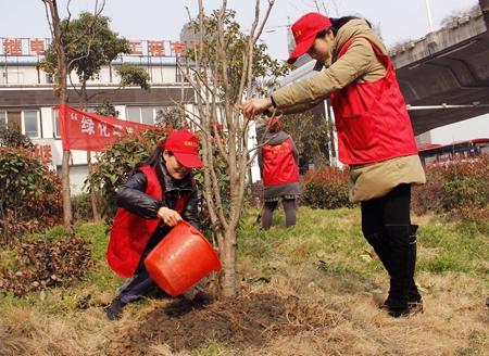 瑤海區(qū)城東街道開展植樹補(bǔ)綠美化家園主題活動(dòng)