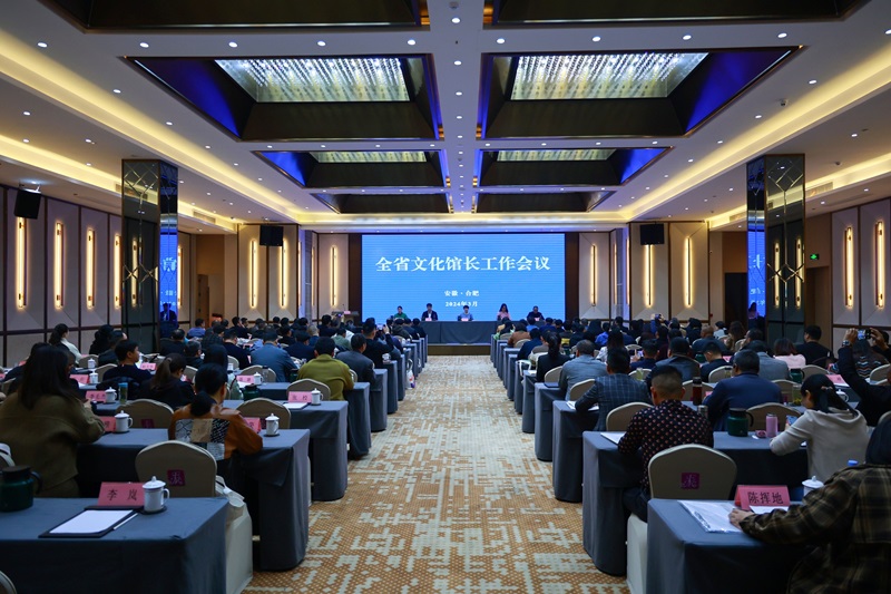 2024年全省文化館長工作會(huì)議在合肥召開